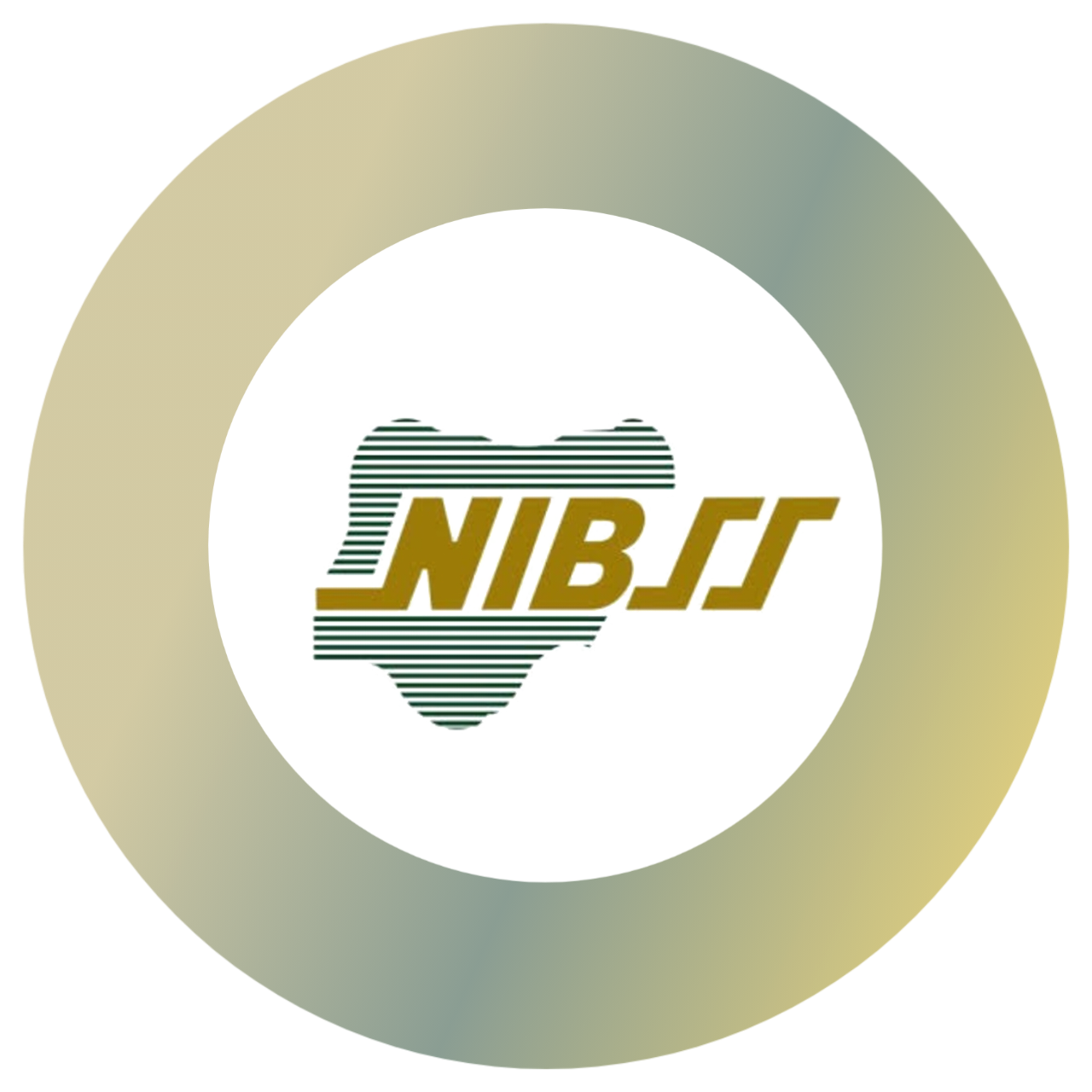BVN Icon